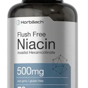 NIACIN FLUSH FREE 500MG - 70 CAPSULES